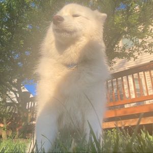 Meet your Posher, Eliana